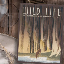 Parque Nacional Vintage Retro Grand Wild Life