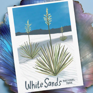 Cartão Postal Parque Nacional White Sands Novo México Gypsum Yuc