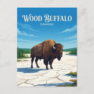 Cartão Postal Parque Nacional Wood Buffalo Canadá