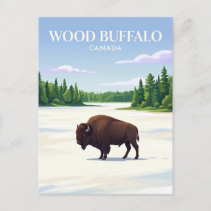 Cartão Postal Parque Nacional Wood Buffalo Canadá