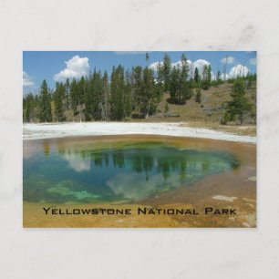 Cartão Postal Parque Nacional Yellowstone