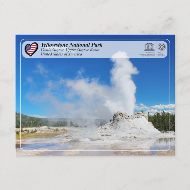 Cartão Postal Parque Nacional Yellowstone - Castle Geyser (Frente)