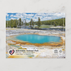 Cartão Postal Parque Nacional Yellowstone - Piscina de Muro