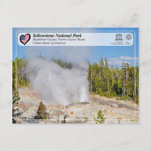 Cartão Postal Parque Nacional Yellowstone - Steamboat Geyser