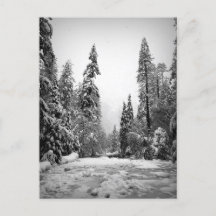 Parque Nacional Yosemite, Califórnia