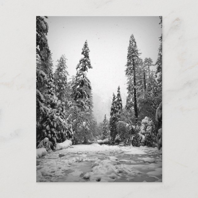 Cartão Postal Parque Nacional Yosemite, Califórnia (Frente)