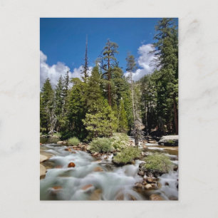 Cartão Postal Parque Nacional Yosemite, Califórnia