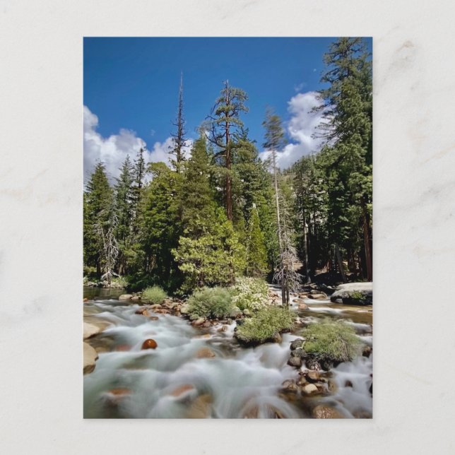 Cartão Postal Parque Nacional Yosemite, Califórnia (Frente)