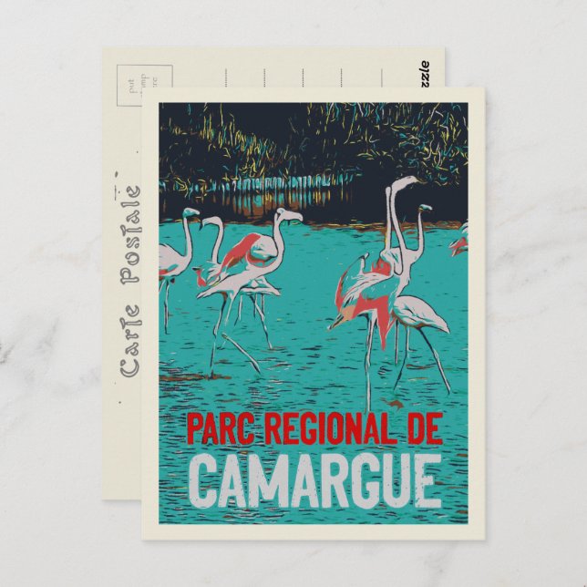 Cartão Postal Parque regional de Camargue, França, flamingos ros (Frente/Verso)