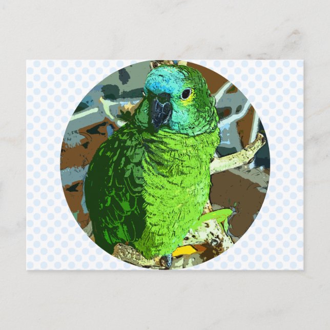 Cartão Postal Parrot Green (Frente)