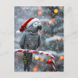 Cartão Postal Parrot Holiday Card — Winter Wonder