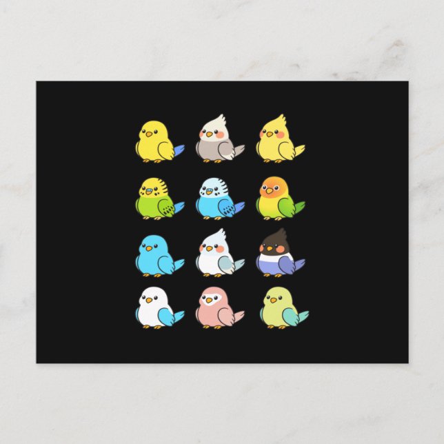 Cartão Postal Parrot Kids Pird (Frente)