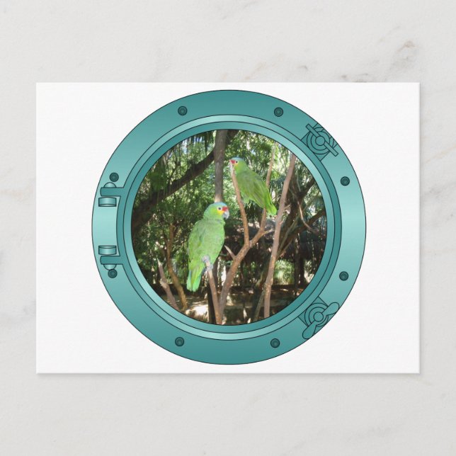 Cartão Postal Parrot Porthole (Frente)