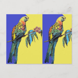 Cartão Postal Parrot Rosella Watercolor