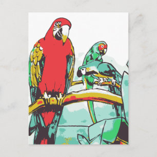 Cartão Postal Parrot Trio