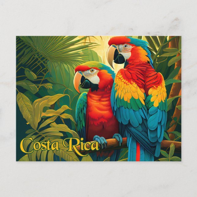 Cartão Postal Parrots da Costa Rica (Frente)