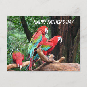Cartão Postal Parrots Happy Dia de os pais