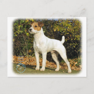 Cartão Postal Parson Russell Terrier 9T016D-223
