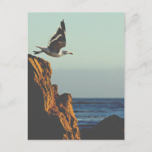 Cartão Postal Partes de Seagull