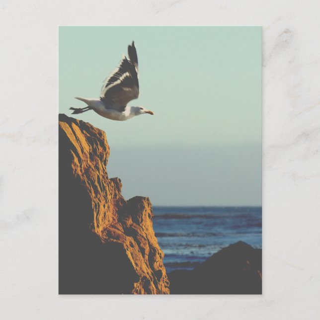 Cartão Postal Partes de Seagull (Frente)