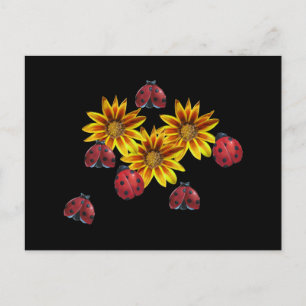 Cartão Postal Partido Ladybug
