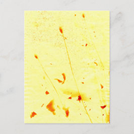 Cartão Postal Pás de papoila secas