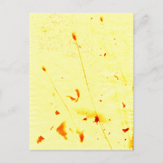 Cartão Postal Pás de papoila secas (Frente)