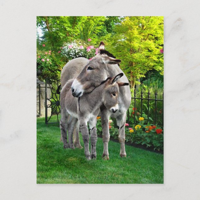 Cartão postal "Páscoa & Baby Eno" (Frente)