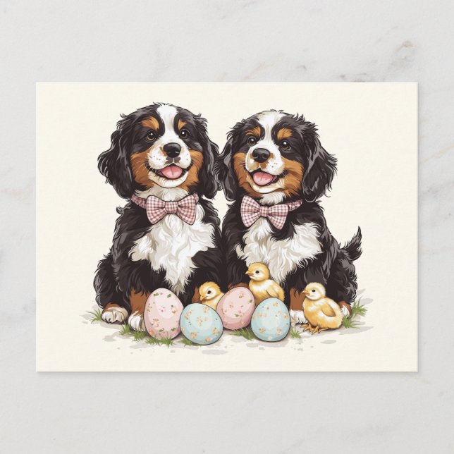 Cartão Postal Páscoa Cães de Montanha Bernese Ovos de Páscoa (Frente)
