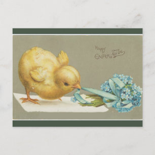 Cartão Postal Páscoa de Flores de Puxação do Pintinho de Vint