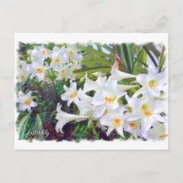 Cartão Postal Páscoa Lily [Cartão postal] ポ ス ト Team