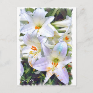 Cartão Postal Páscoa Lily [Cartão postal] ポ ス ト Team