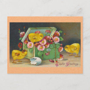 Cartão Postal Páscoa Saudações Vintage Pintinhos Cuecas Floral
