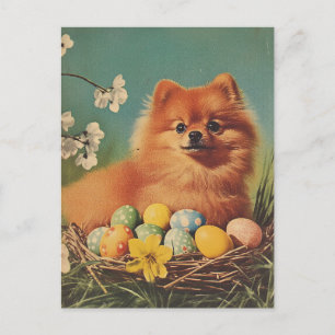Cartão Postal Páscoa Vintage de cão da Pomerânia