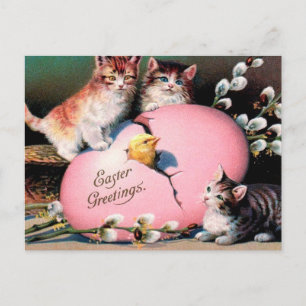 Cartão Postal Páscoa Vintage saudações Gatos Pintinho e Ovo de P