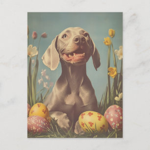 Cartão Postal Páscoa Weimaraner Vintage