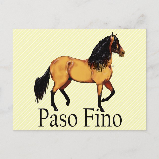 Cartão Postal Paso Horse Buckskin Paso Fino (Frente)
