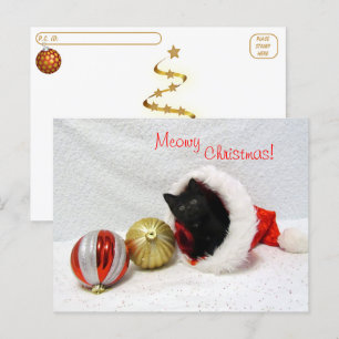 Cartão Postal Passagem - Natal de Joon - Gato / Gatinho