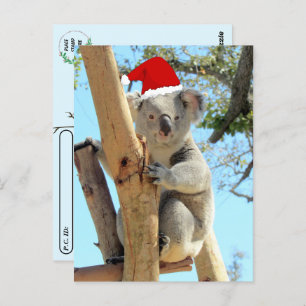 Cartão Postal Passagem - Natal de Koala