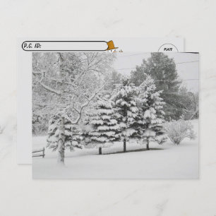Cartão Postal Passagem - Vermont's Snowy Winter em B&W