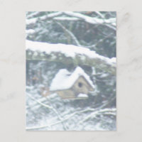 passarinho na neve