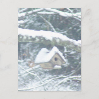 Cartão Postal passarinho na neve