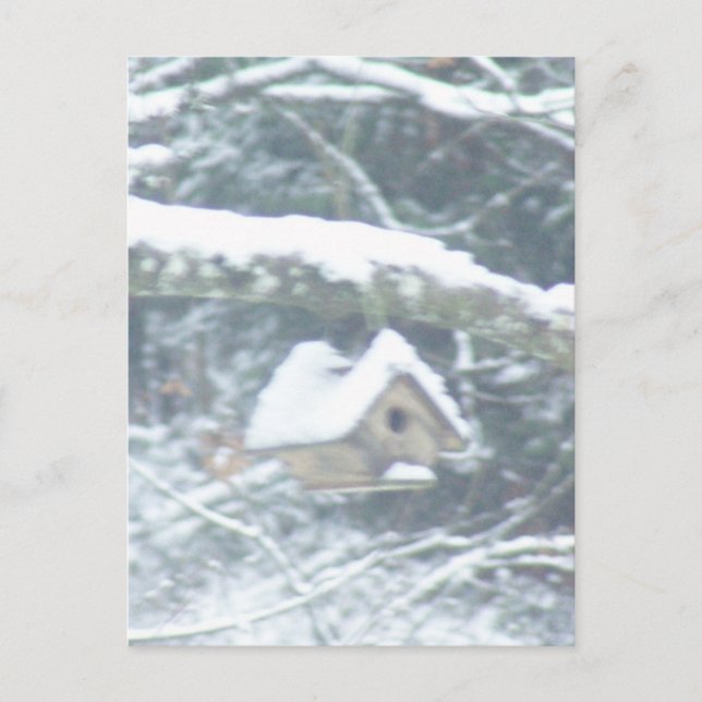 Cartão Postal passarinho na neve (Frente)