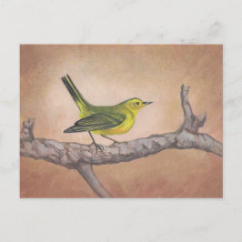 Cartão Postal Pássaro Amarelo