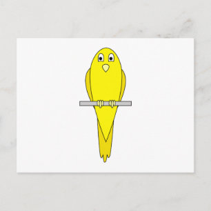 Cartão Postal Pássaro Amarelo. Canário. Em Branco.