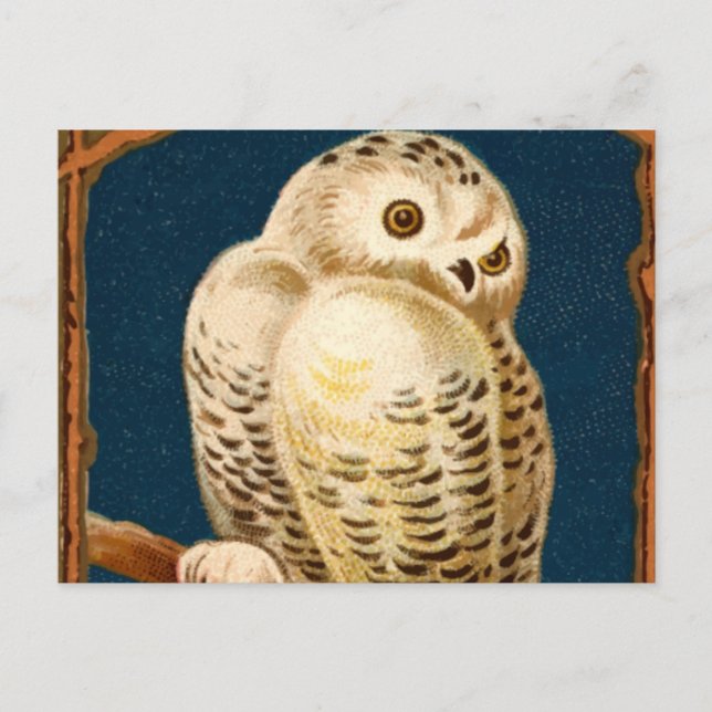 Cartão Postal Pássaro Ártico De Coruja Neve - Primeiro Dia Do In (Frente)