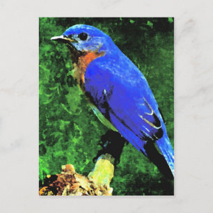 Cartão Postal Pássaro Azul