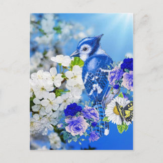 Cartão Postal pássaro azul