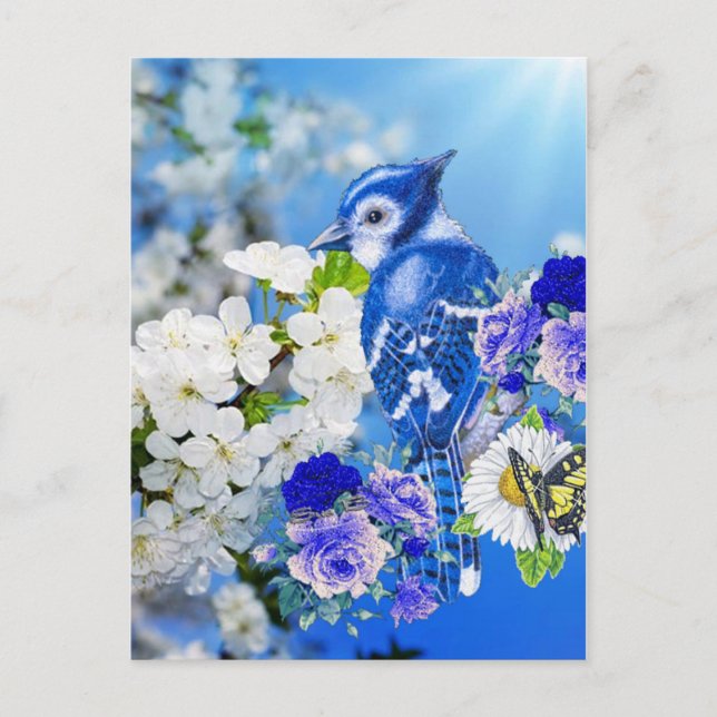 Cartão Postal pássaro azul (Frente)