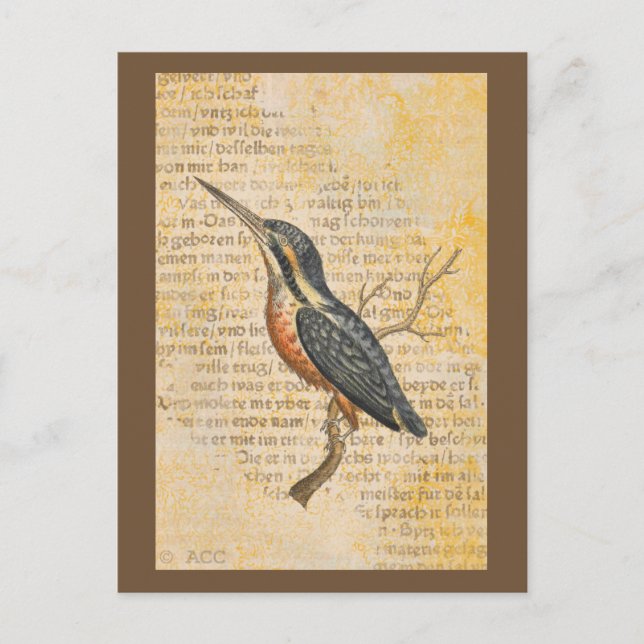 Cartão Postal Pássaro Azul na Ramificação (Frente)